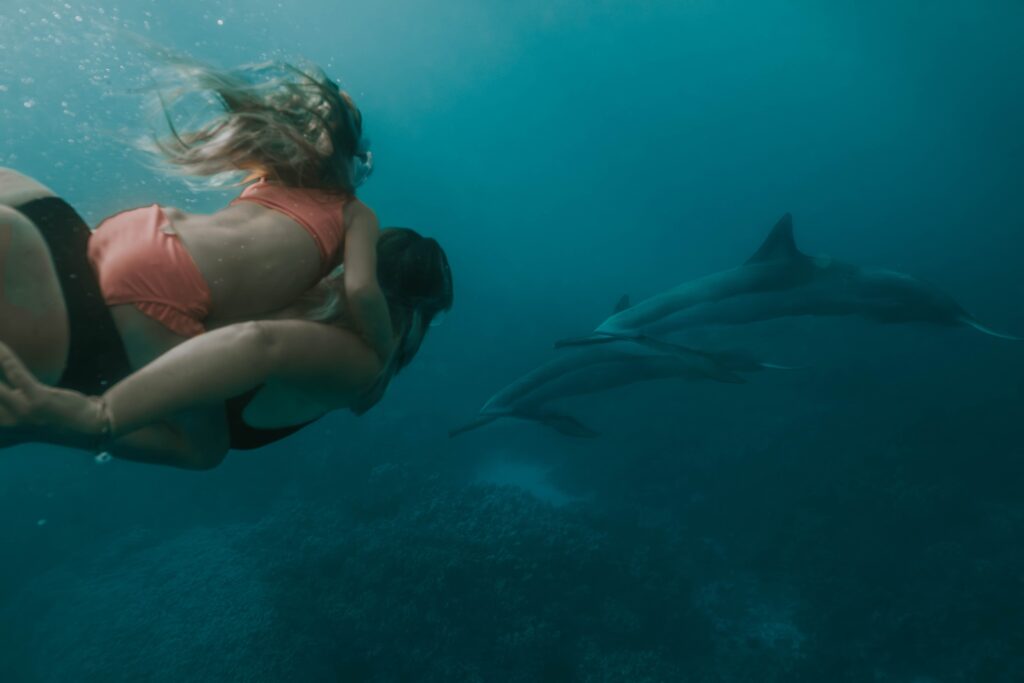 daughter on moms back under water looking at dolphins from afar